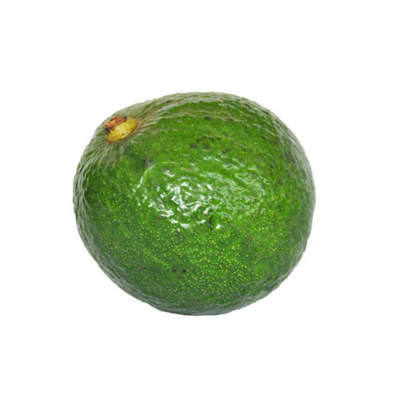 chd-AguacateDominicano