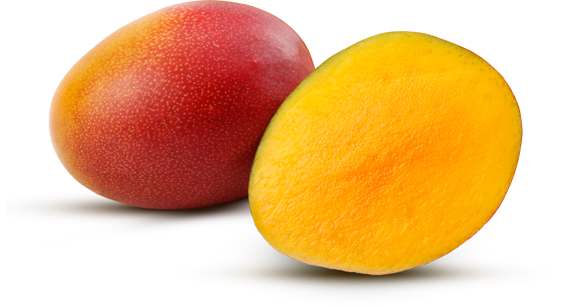 chd-Mango2