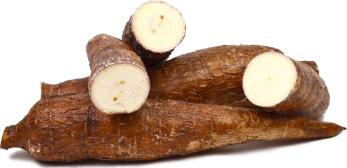 yuca